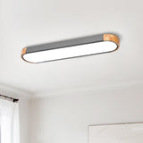 Modern Dimmable LED Ceiling Light