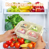 Premium acrylic airtight multi portion box
