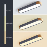 Modern Dimmable LED Ceiling Light