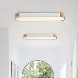 Modern Dimmable LED Ceiling Light