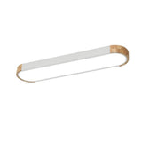 Modern Dimmable LED Ceiling Light